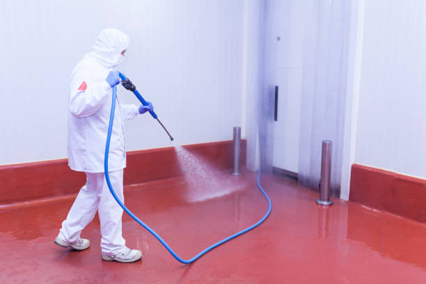 Best House Exterior Washing  in St Matthews, KY